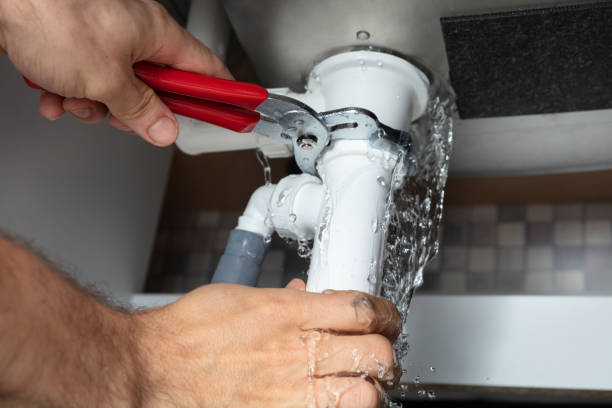  Morrice, MI Water damage restoration Pros