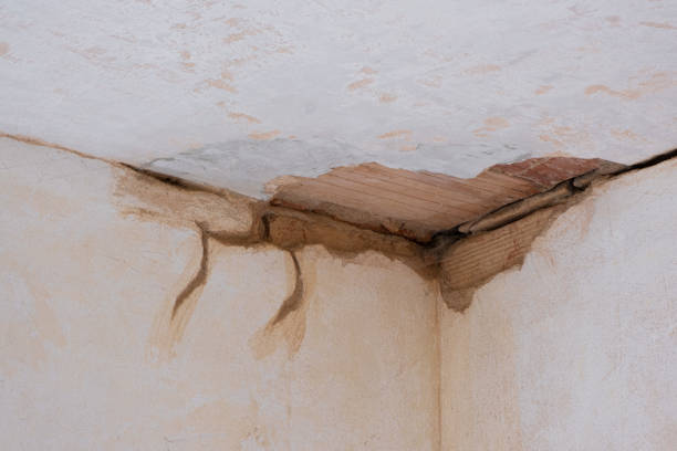Morrice, MI Water damage restoration Company