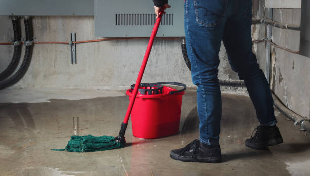 Best Water damage cleanup near me  in Morrice, MI