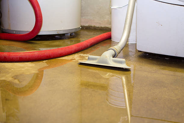 Best Basement water damage restoration  in Morrice, MI