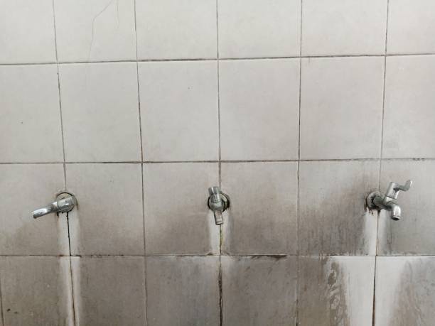 Best Emergency water extraction  in Morrice, MI