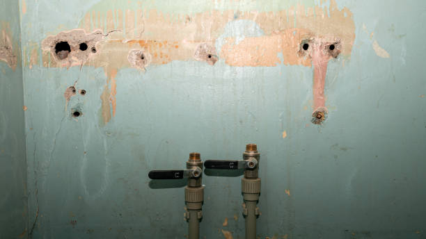 Best Flooded house restoration  in Morrice, MI