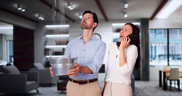 Best Ceiling water damage repair  in Morrice, MI