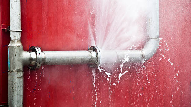 Best Flood restoration services  in Morrice, MI